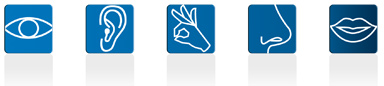 5 sens institut repere