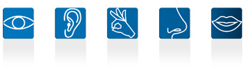 5 sens institut repere