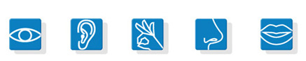 5 sens institut repere