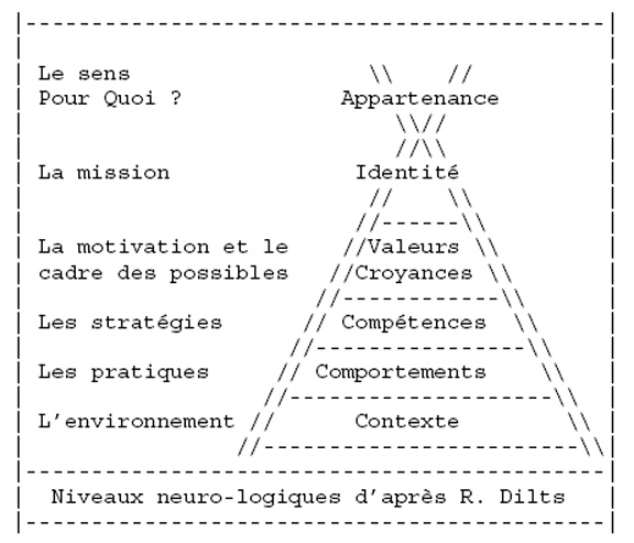 niveaux-logiques-dilts.jpg