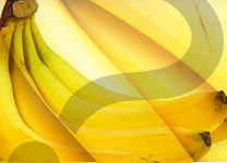 banane-ok