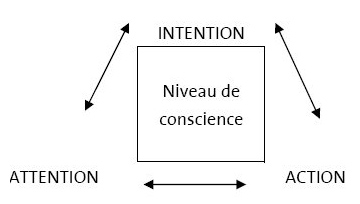 figure_2_feedback figure_2_feedback