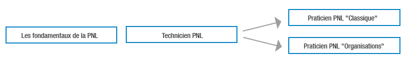 pnl orga