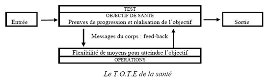 tote_sant tote_sant