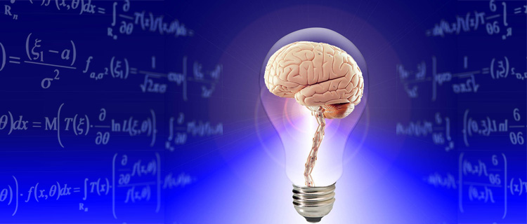apport des neurosciences au coaching apport des neurosciences au coaching