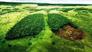 Ecologie des affaires Ecologie des affaires
