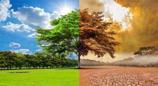 Ecologie, climat et PNL Ecologie, climat et PNL