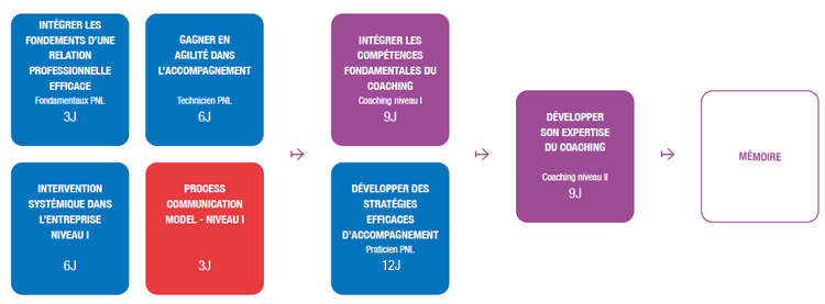 parcours formation coach professionnel