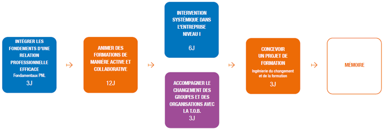 parcours formation formateur consultant3