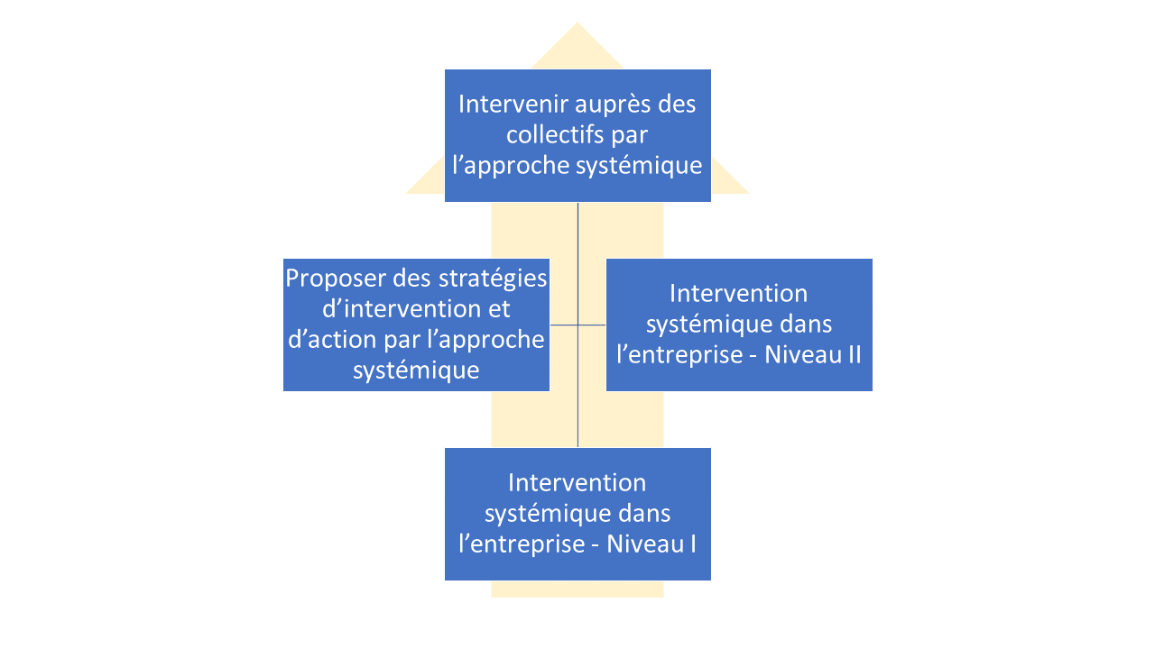 parcours systémique