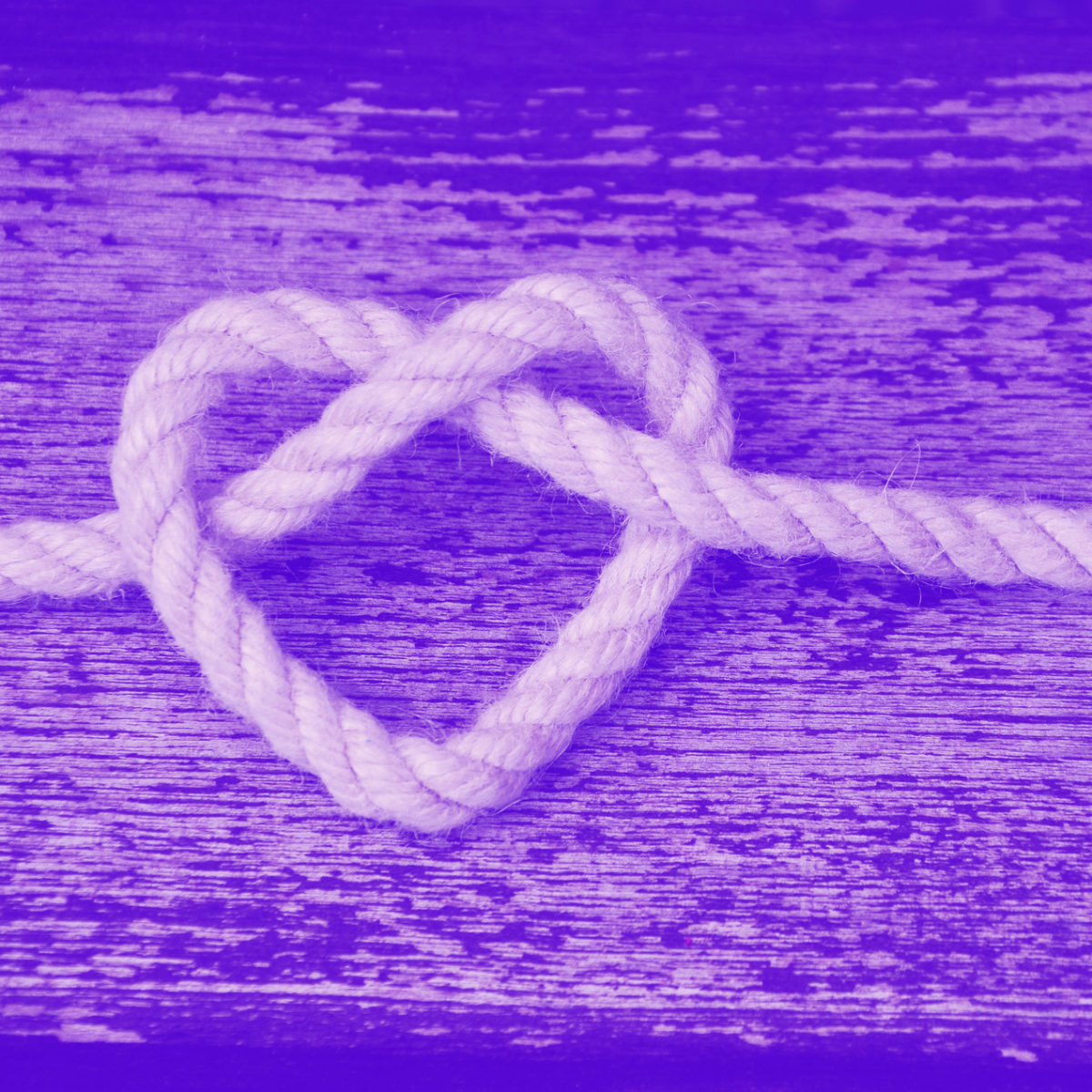 cordon violet