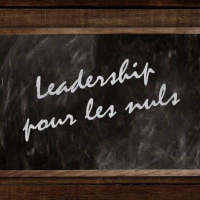 leadership pour les nuls