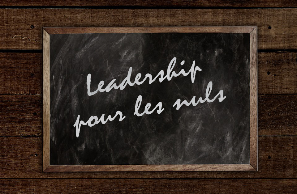 leadership pour les nuls