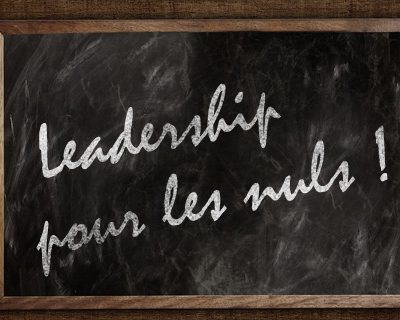 leadership pour les nuls