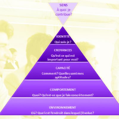 pyramide des niveaux2