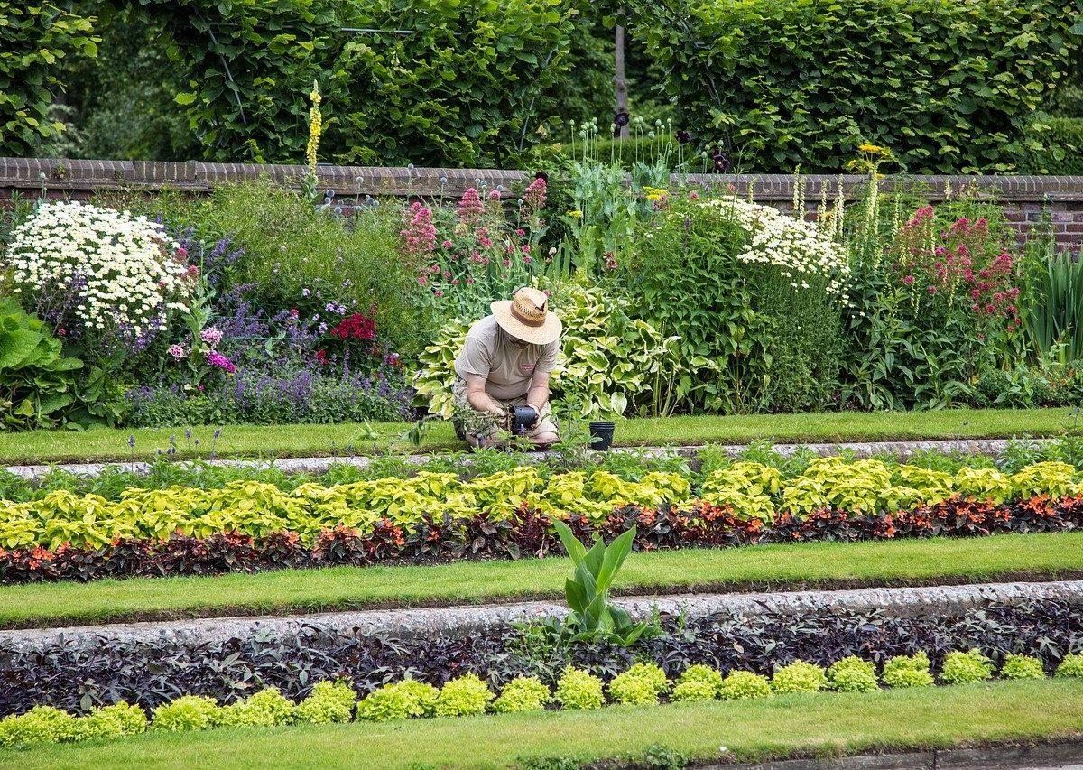 la résilience du jardinier relationnel