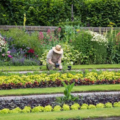 la résilience du jardinier relationnel